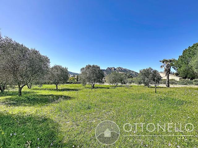 Vente Terrain 785 m2 Roquebrune sur Argens