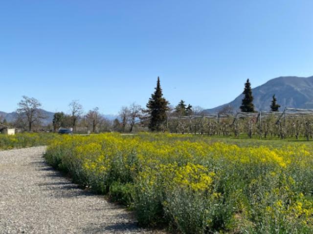 Vente Terrain 786 m2 Ventavon