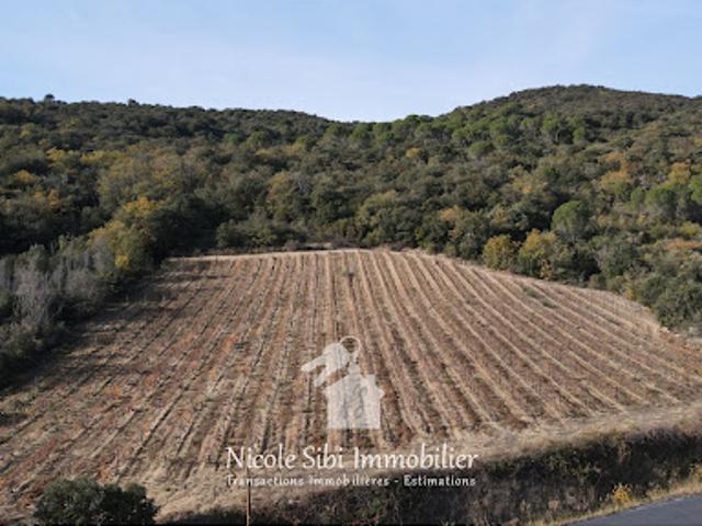 Vente Terrain 7897 m2 Lansac