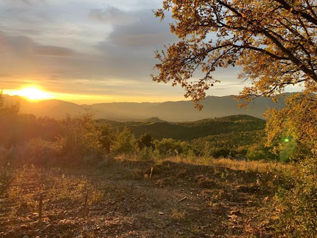 Vente Terrain 79000 m2 Oms