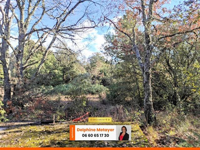 Vente Terrain 7945 m2 Tavernes