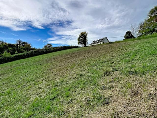Vente Terrain 7995 m2 Monein