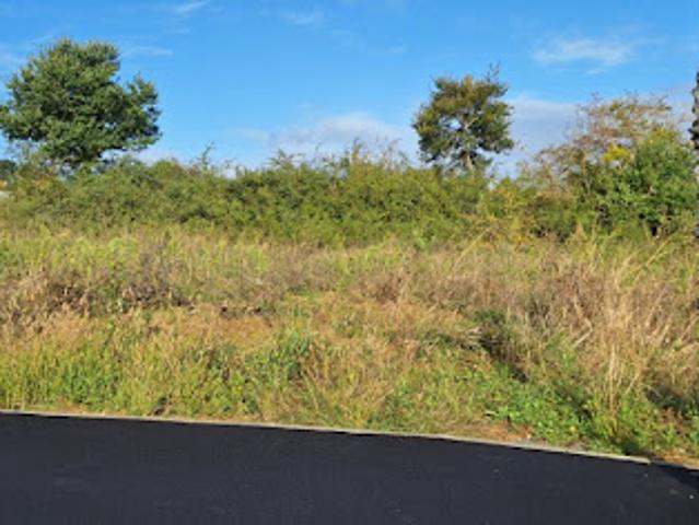 Vente Terrain 700 m2 Tournefeuille