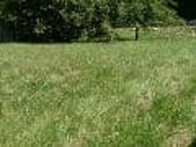 Vente Terrain 700 m2 Vescemont