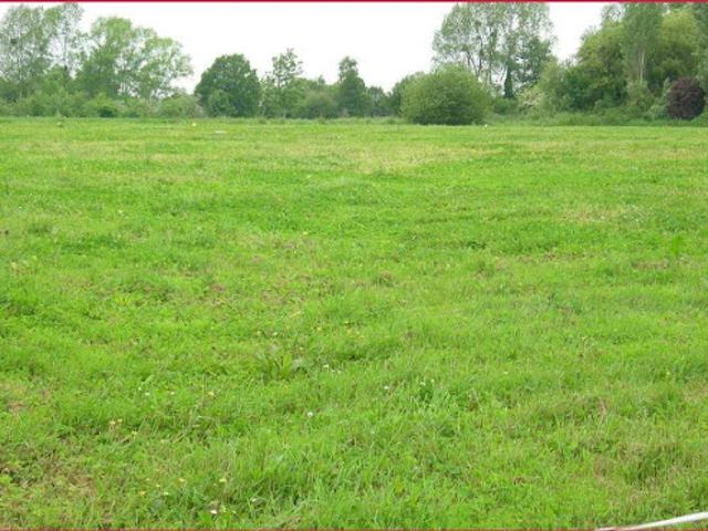 Vente Terrain 700 m2 Villeneuve Tolosane
