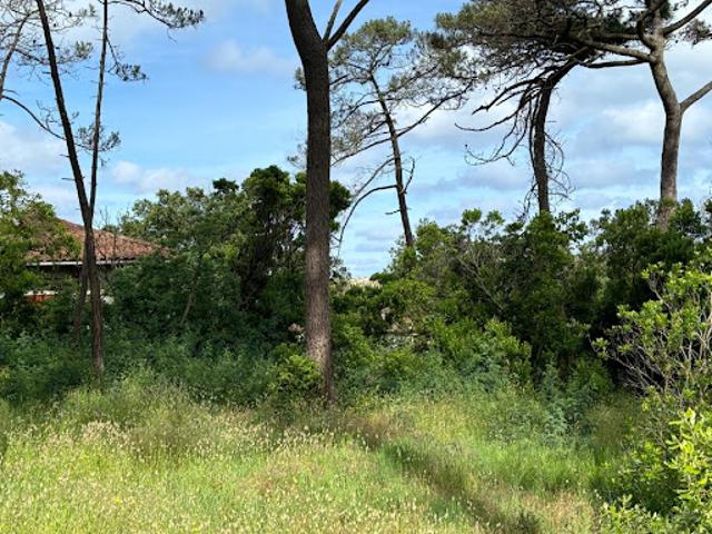 Vente Terrain 700 m2 Andernos les Bains