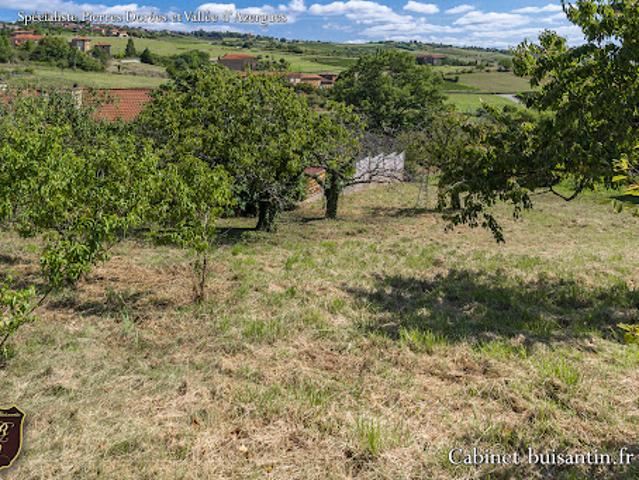 Vente Terrain 0 m2 Le Bois d'Oingt