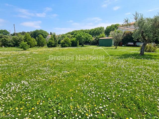 Vente Terrain 700 m2 Le Cailar