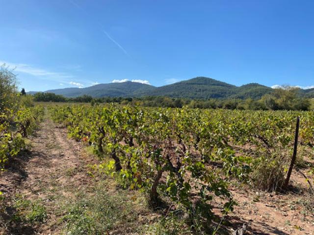 Vente Terrain 700 m2 Le Castellet