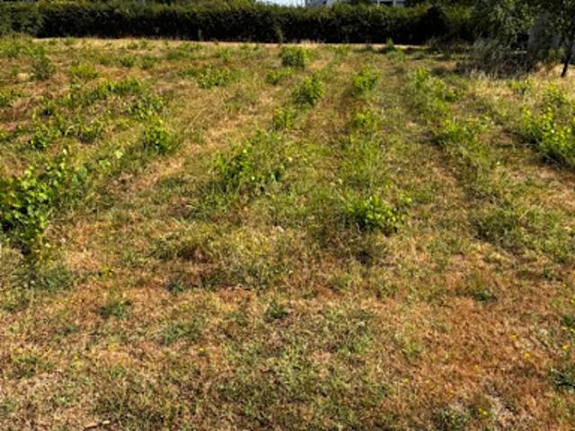 Vente Terrain 700 m2 Lormont