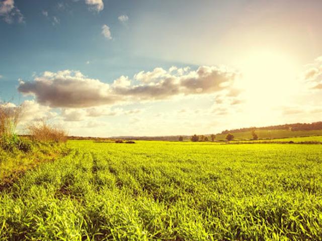 Vente Terrain 700 m2 Monts