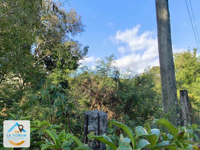 Vente Terrain 700 m2 Saint Pierre