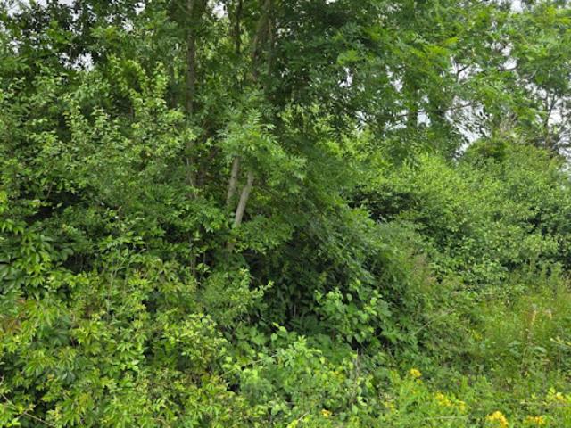 Vente Terrain 700 m2 Saint Rémy lès Chevreuse