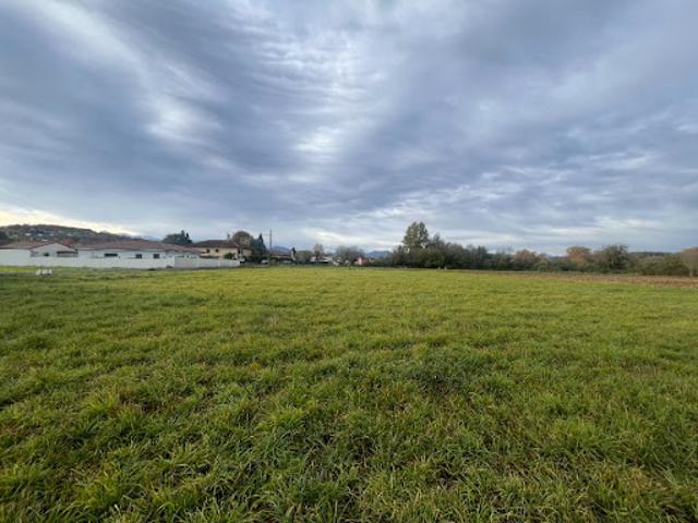 Vente Terrain 701 m2 Juillan