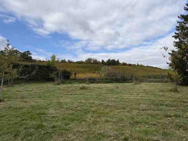 Vente Terrain 702 m2 Arsonval