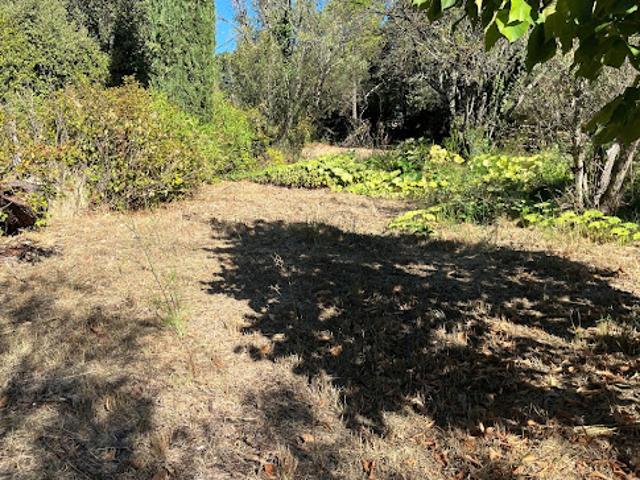 Vente Terrain 702 m2 Carqueiranne
