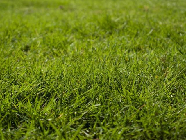 Vente Terrain 702 m2 Menneval