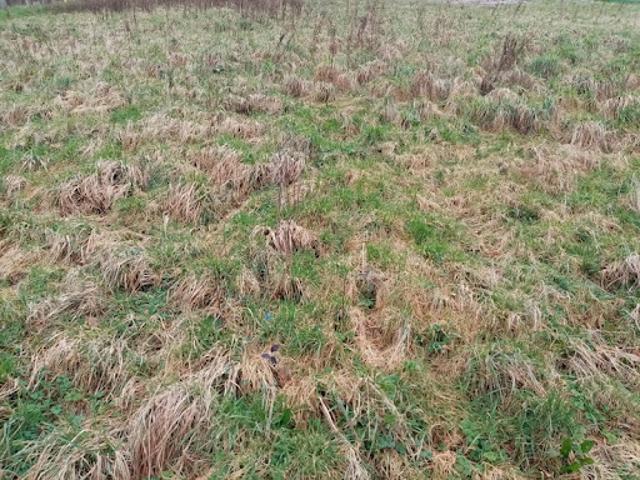 Vente Terrain 704 m2 Sainte Marguerite sur Fauville