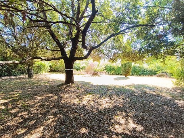 Vente Terrain 705 m2 Villeneuve Tolosane
