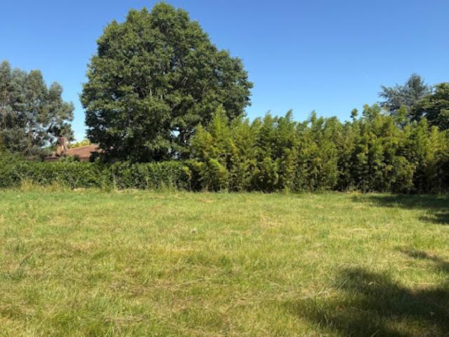 Vente Terrain 705 m2 Saint Sauveur
