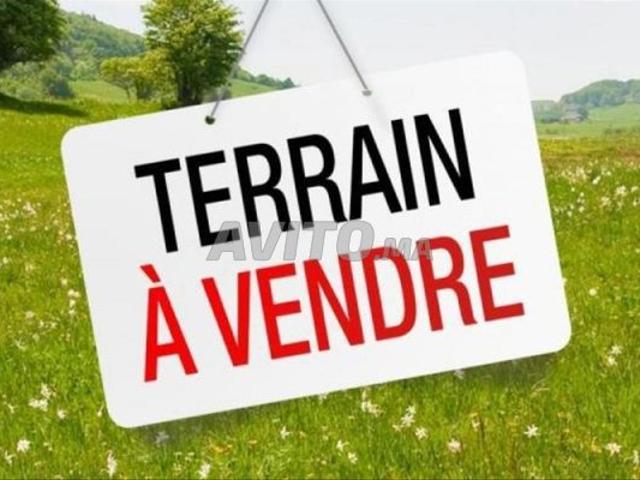 Vente terrain