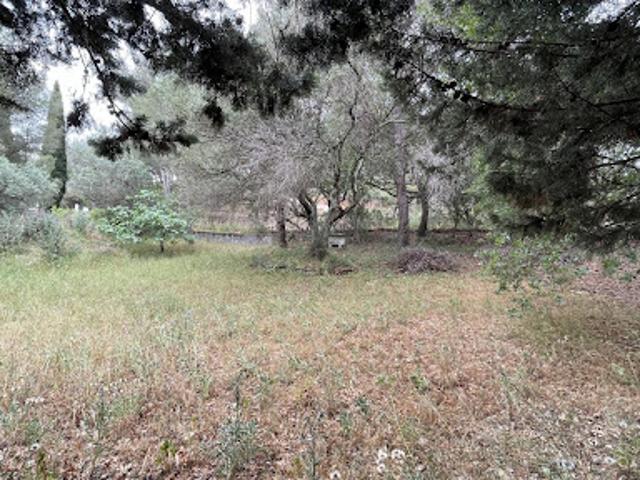 Vente Terrain 713 m2 Carqueiranne