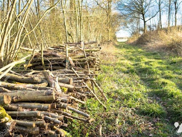 Vente Terrain 710 m2 Sogny aux Moulins