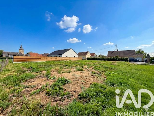 Vente Terrain 711 m2 Zutkerque