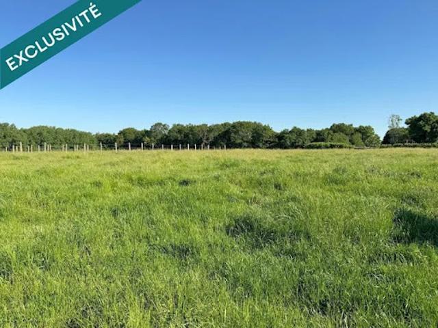 Vente Terrain 712 m2 Saint Thibault des Vignes