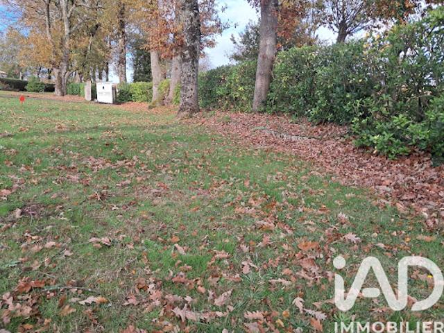 Vente Terrain 712 m2 Sainte Foy