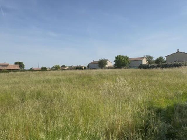 Vente Terrain 7132 m2 Montech