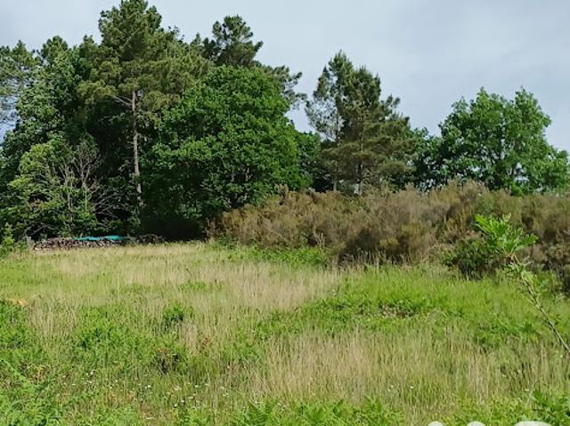 Vente Terrain 7136 m2 Tamniès