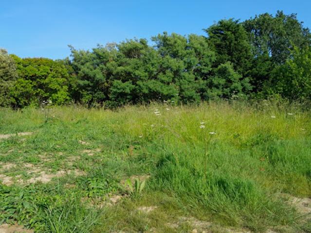 Vente Terrain 715 m2 Le Pellerin