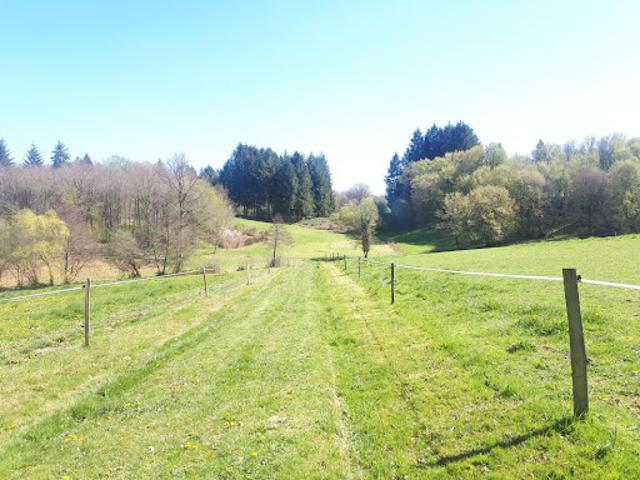 Vente Terrain 71878 m2 Vayres