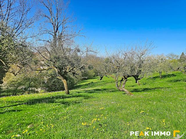 Vente Terrain 0 m2 Bonne