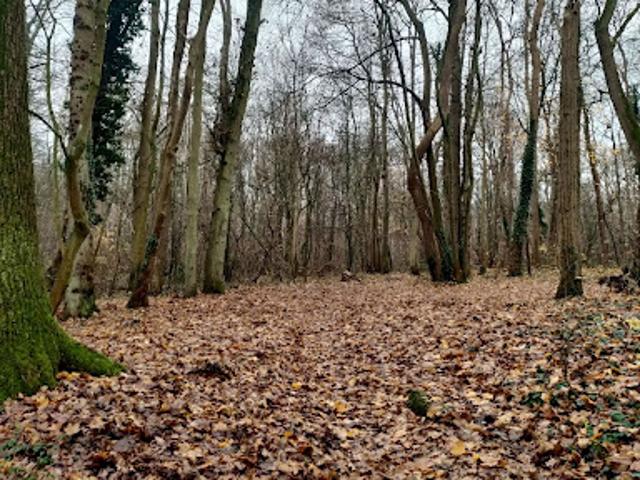 Vente Terrain 7227 m2 Parmain