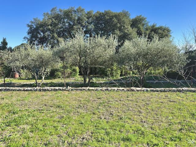 Vente Terrain 722 m2 Sommieres