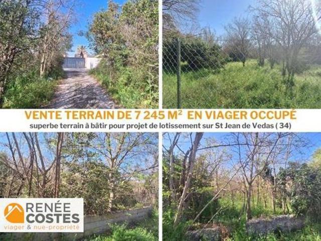 Vente Terrain 7234 m2 Saint jean de vedas