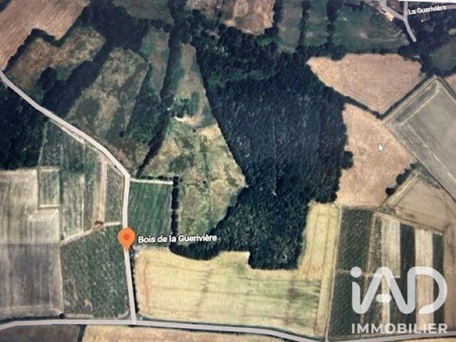 Vente Terrain 7264 m2 Saint Lumine de Clisson