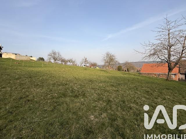 Vente Terrain 726 m2 Reinhardsmunster