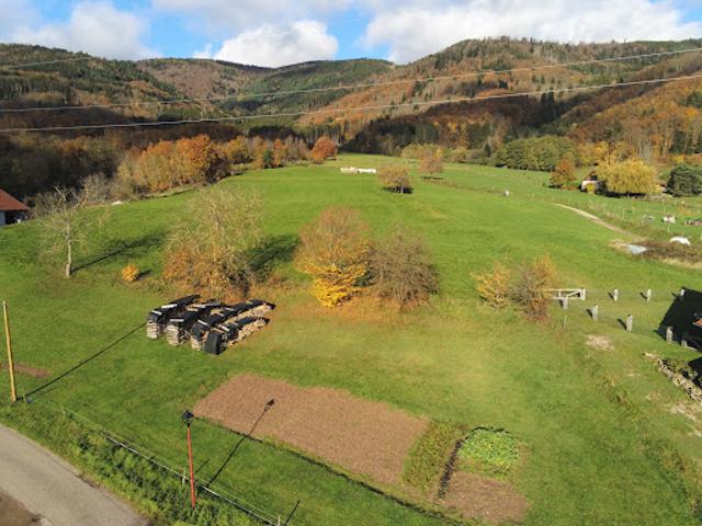 Vente Terrain 726 m2 Steige
