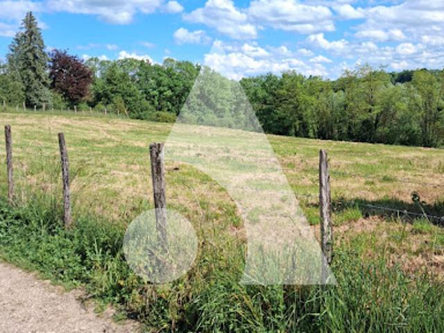 Vente Terrain 7280 m2 Guillon Terre Plaine