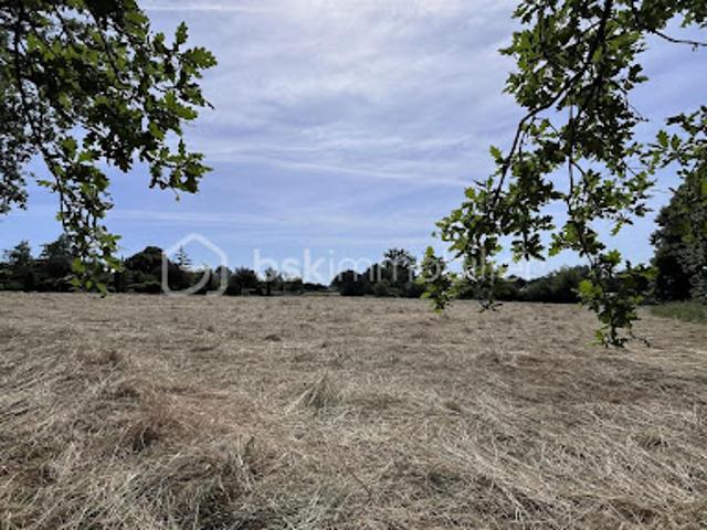 Vente Terrain 7290 m2 Peyrignac