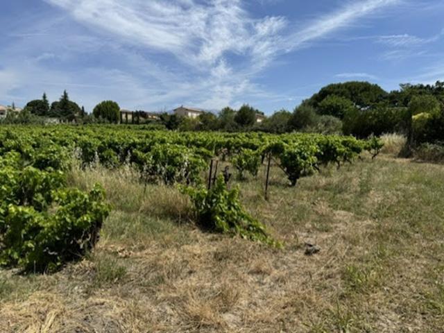 Vente Terrain 729 m2 Mazan