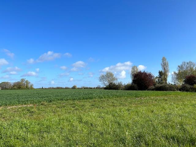 Vente Terrain 730 m2 Azay le Rideau