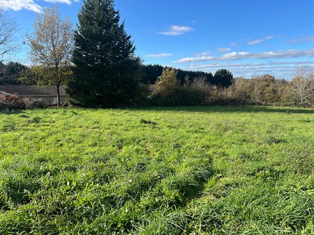 Vente Terrain 730 m2 Cognac la Forêt