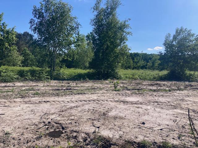 Vente Terrain 730 m2 Labouheyre