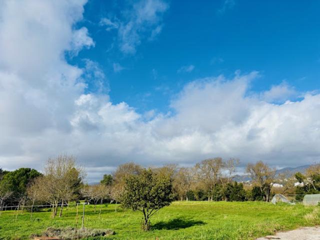 Vente Terrain 730 m2 Le Pradet