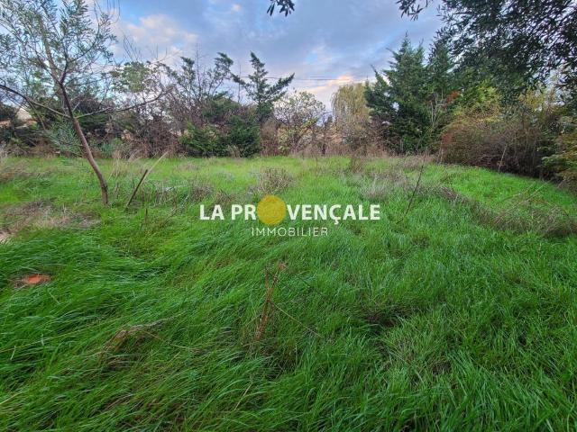 vente terrain