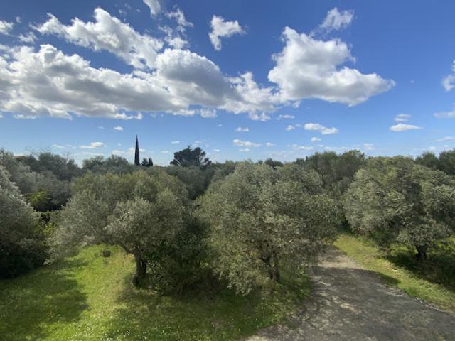 Vente Terrain 7323 m2 Uzès